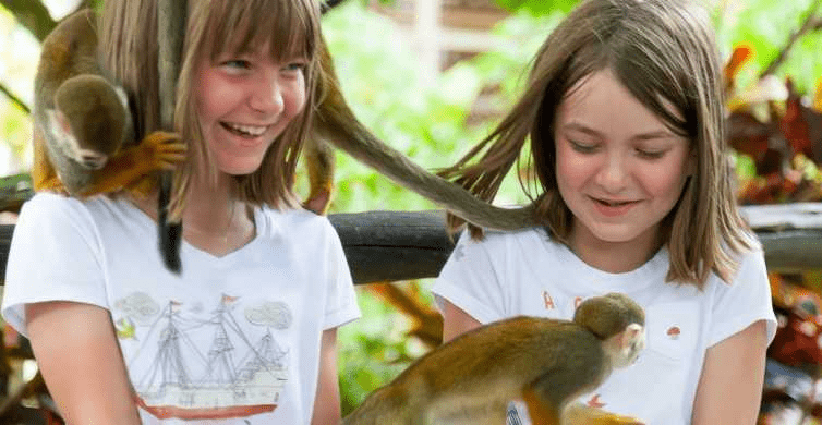 Imagen Destacada Safari en Punta Cana Descubre la Magia de la Selva Caribeña